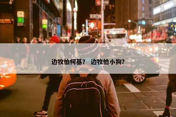 边牧怕柯基？ 边牧怕小狗？