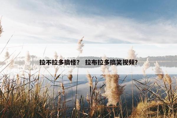 拉不拉多搞怪？ 拉布拉多搞笑视频？