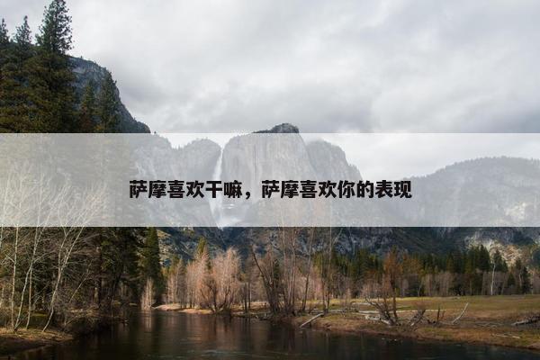 萨摩喜欢干嘛，萨摩喜欢你的表现