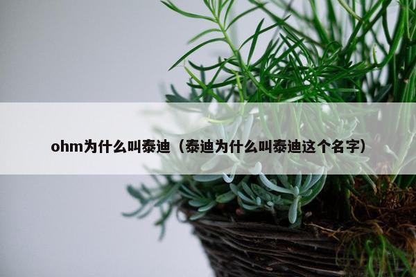 ohm为什么叫泰迪（泰迪为什么叫泰迪这个名字）