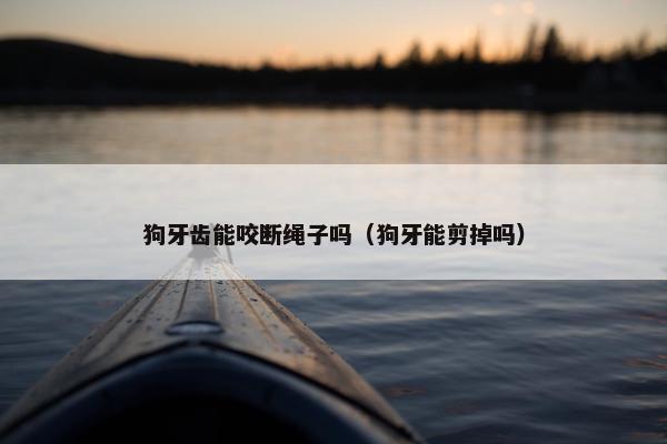 狗牙齿能咬断绳子吗（狗牙能剪掉吗）