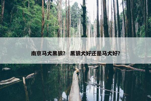 南京马犬黑狼？ 黑狼犬好还是马犬好？