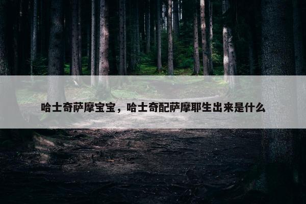 哈士奇萨摩宝宝，哈士奇配萨摩耶生出来是什么