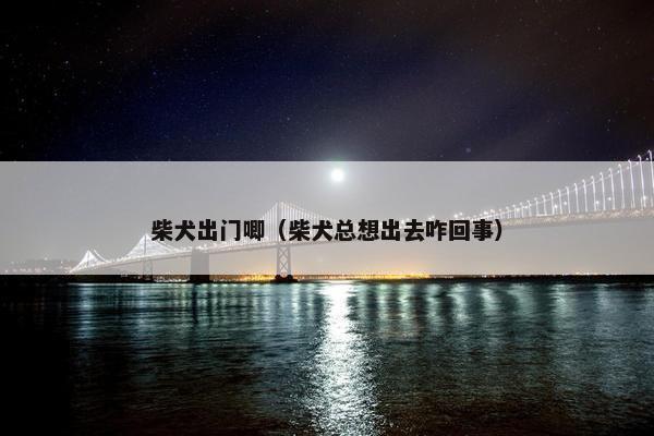 柴犬出门唧（柴犬总想出去咋回事）