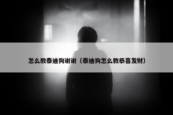 怎么教泰迪狗谢谢（泰迪狗怎么教恭喜发财）