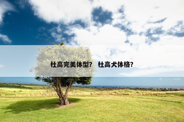 杜高完美体型？ 杜高犬体格？