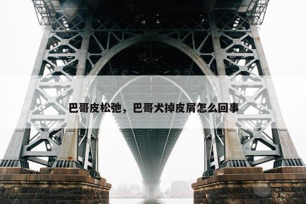 巴哥皮松弛，巴哥犬掉皮屑怎么回事