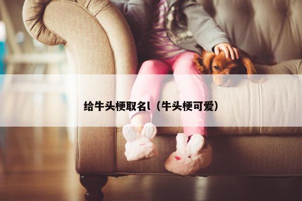 给牛头梗取名l（牛头梗可爱）