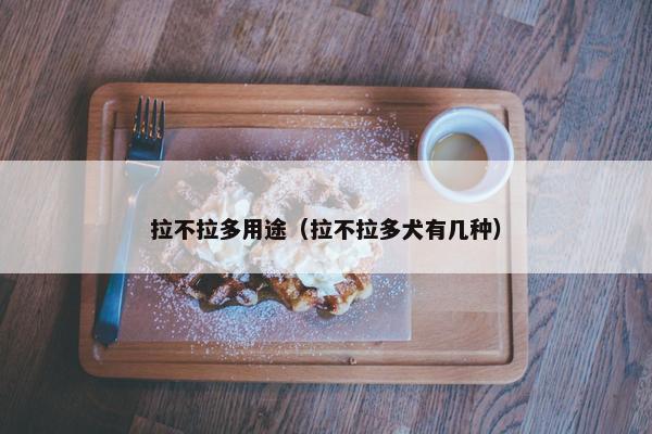 拉不拉多用途（拉不拉多犬有几种）