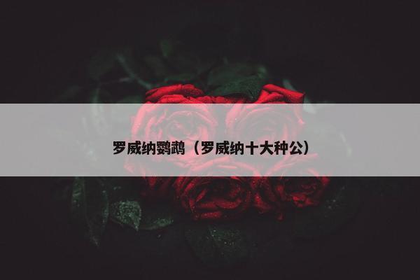 罗威纳鹦鹉（罗威纳十大种公）