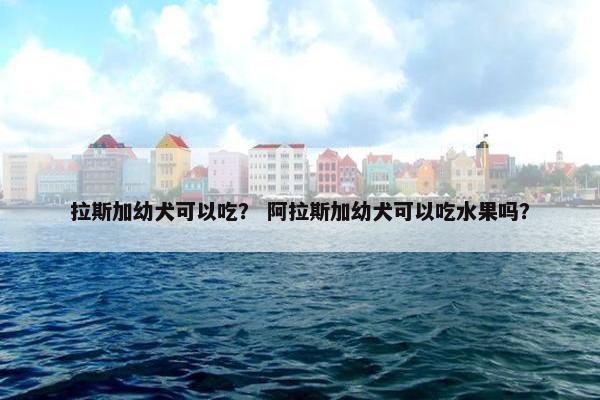 拉斯加幼犬可以吃？ 阿拉斯加幼犬可以吃水果吗？