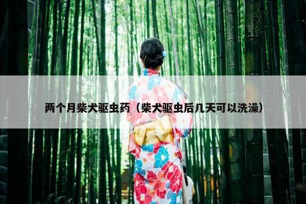 两个月柴犬驱虫药（柴犬驱虫后几天可以洗澡）