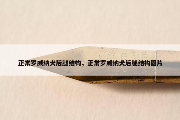 正常罗威纳犬后腿结构，正常罗威纳犬后腿结构图片