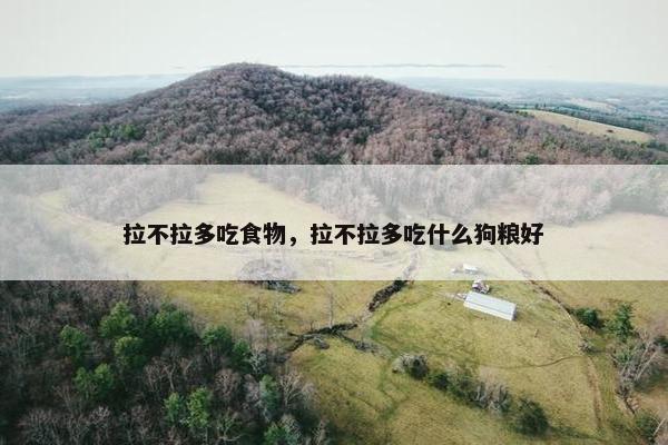 拉不拉多吃食物，拉不拉多吃什么狗粮好