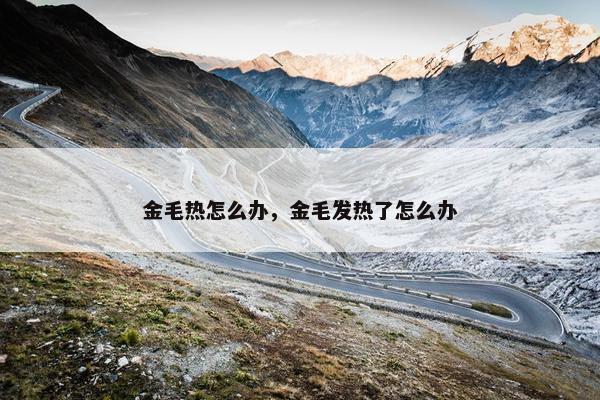 金毛热怎么办，金毛发热了怎么办