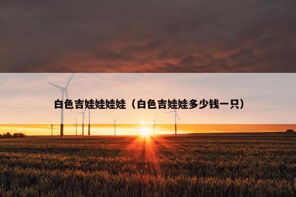 白色吉娃娃娃娃（白色吉娃娃多少钱一只）