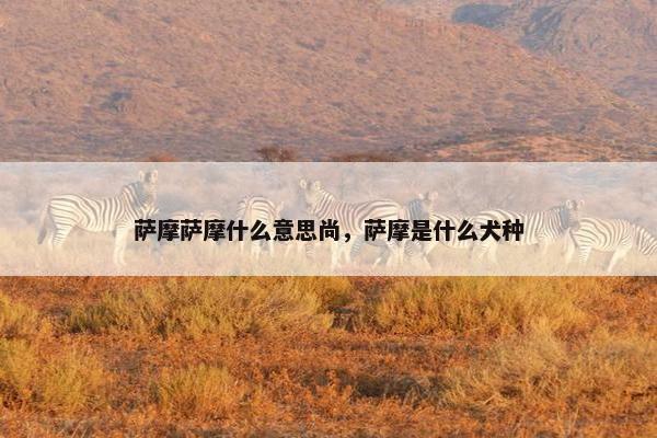 萨摩萨摩什么意思尚，萨摩是什么犬种