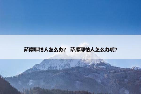萨摩耶怕人怎么办？ 萨摩耶怕人怎么办呢？