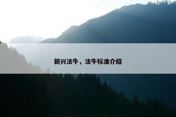 新兴法牛，法牛标准介绍