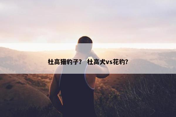 杜高猎豹子？ 杜高犬vs花豹？