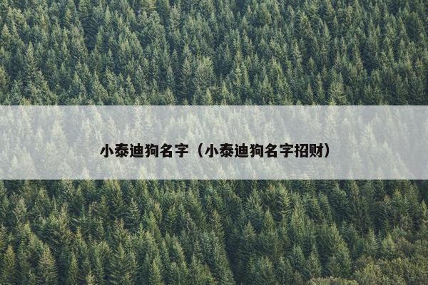 小泰迪狗名字（小泰迪狗名字招财）