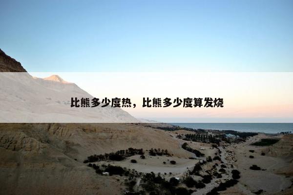 比熊多少度热，比熊多少度算发烧