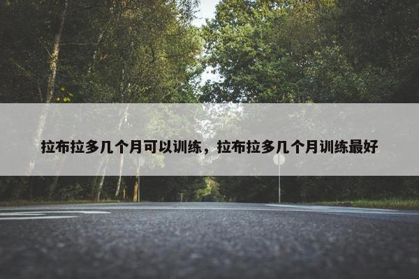 拉布拉多几个月可以训练，拉布拉多几个月训练最好