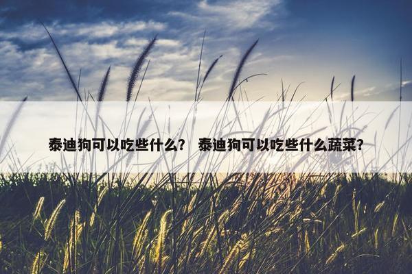 泰迪狗可以吃些什么？ 泰迪狗可以吃些什么蔬菜？