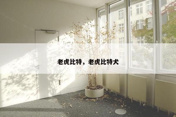 老虎比特，老虎比特犬