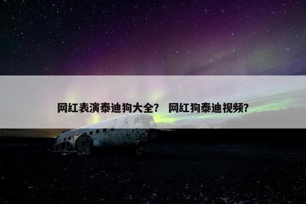 网红表演泰迪狗大全？ 网红狗泰迪视频？