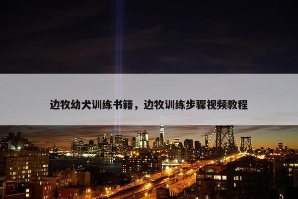 边牧幼犬训练书籍，边牧训练步骤视频教程