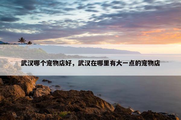 武汉哪个宠物店好，武汉在哪里有大一点的宠物店
