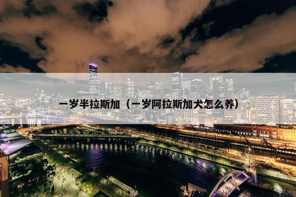 一岁半拉斯加（一岁阿拉斯加犬怎么养）