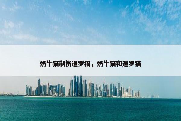 奶牛猫制衡暹罗猫，奶牛猫和暹罗猫