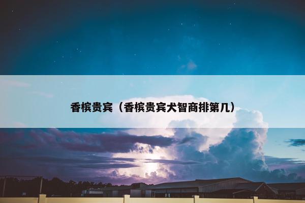 香槟贵宾（香槟贵宾犬智商排第几）