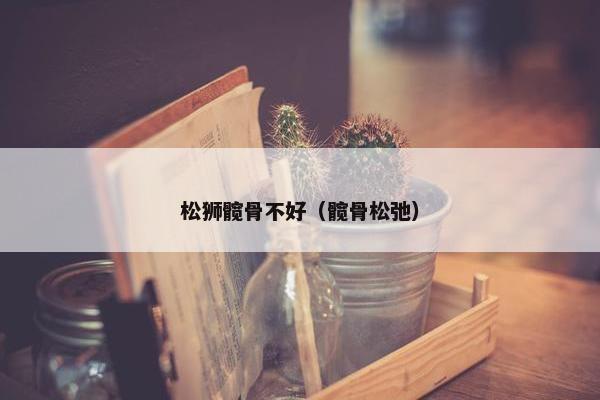 松狮髋骨不好（髋骨松弛）
