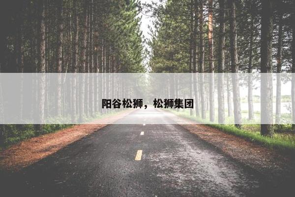 阳谷松狮，松狮集团