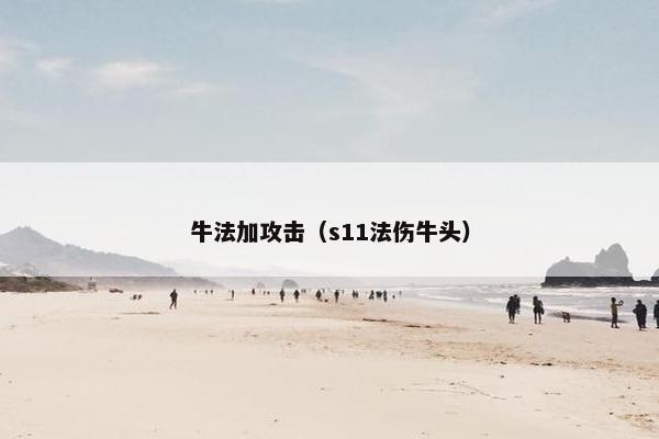 牛法加攻击（s11法伤牛头）
