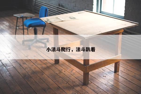 小法斗爬行，法斗趴着