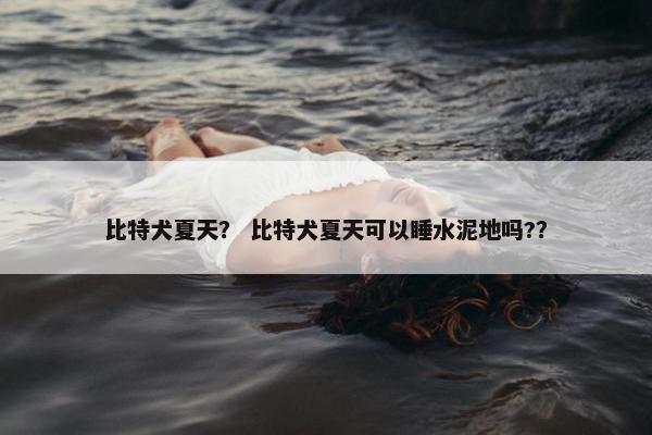 比特犬夏天？ 比特犬夏天可以睡水泥地吗?？