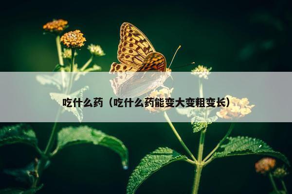 吃什么药（吃什么药能变大变粗变长）