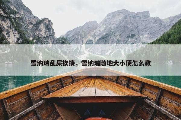 雪纳瑞乱尿挨揍，雪纳瑞随地大小便怎么教