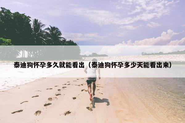 泰迪狗怀孕多久就能看出（泰迪狗怀孕多少天能看出来）