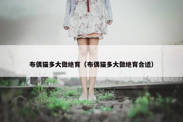 布偶猫多大做绝育（布偶猫多大做绝育合适）