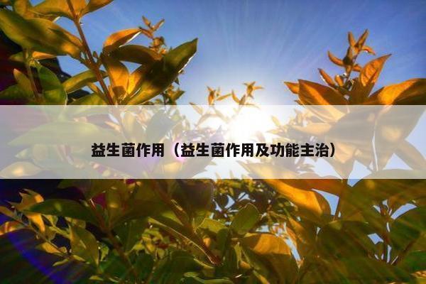 益生菌作用（益生菌作用及功能主治）