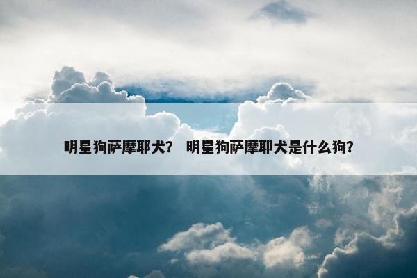 明星狗萨摩耶犬？ 明星狗萨摩耶犬是什么狗？
