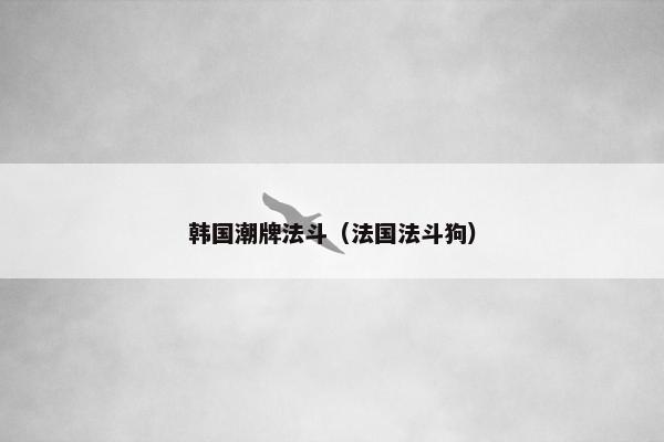 韩国潮牌法斗（法国法斗狗）