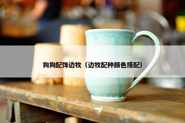 狗狗配饰边牧（边牧配种颜色搭配）