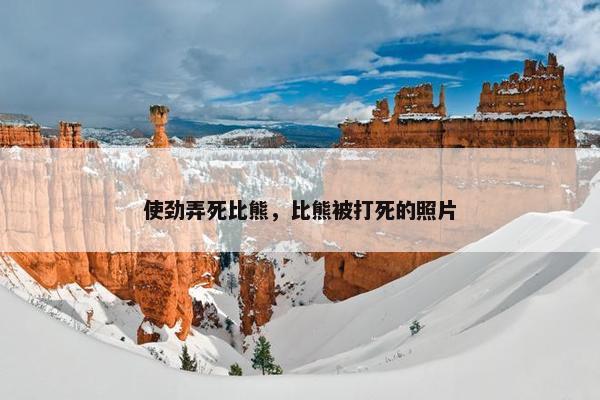 使劲弄死比熊，比熊被打死的照片