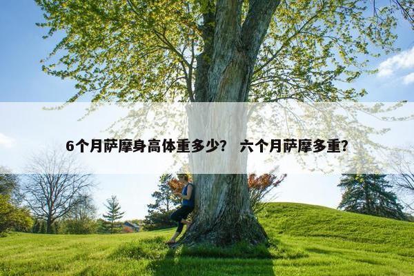 6个月萨摩身高体重多少？ 六个月萨摩多重？